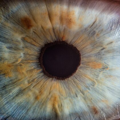 Open Knowledge Valorisation