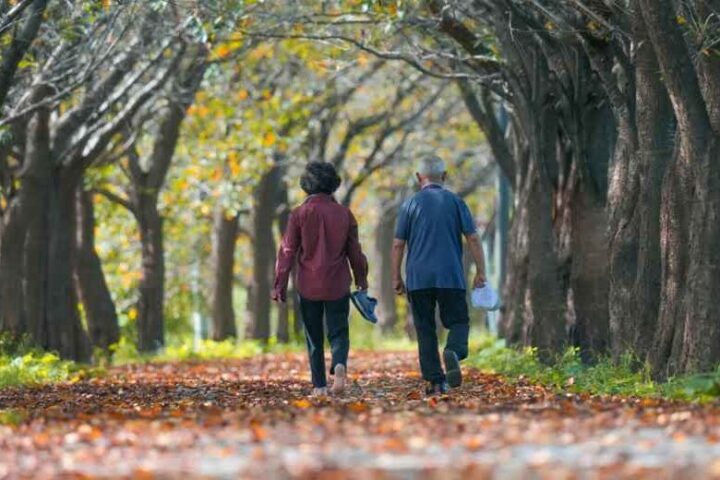 Let’s Talk “Desbloqueando o Potencial da Economia Social: Financiamento e Capacitação de Projetos de Impacto”